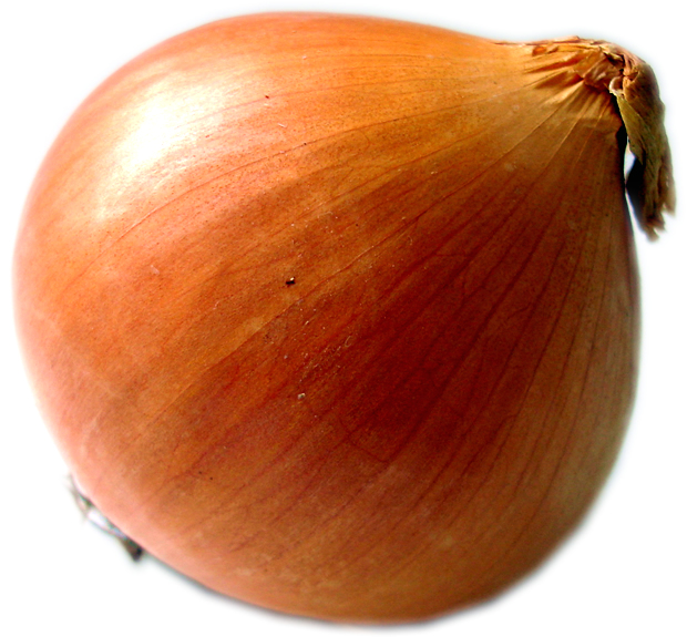 cibule