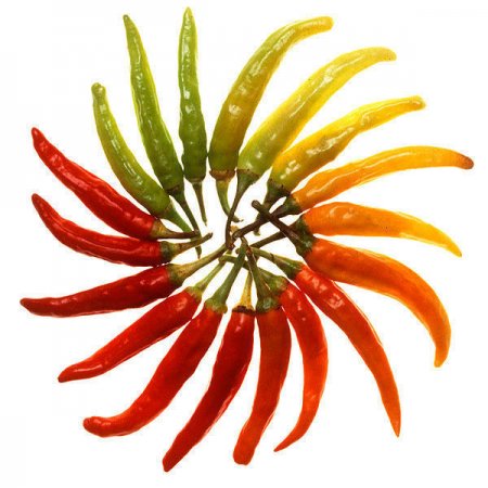 chilli papričky